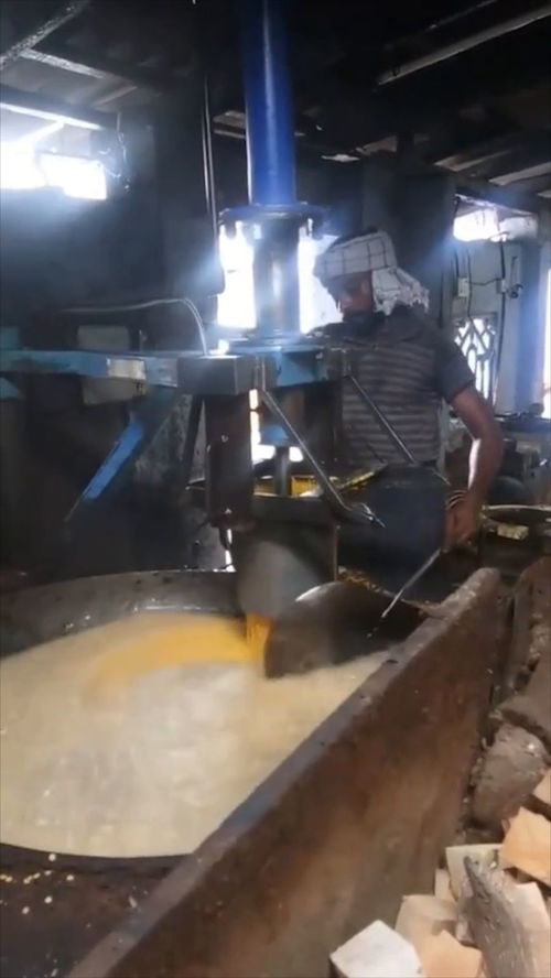 印度的油炸食品加工廠,一鍋油能炸2000斤食品,這產(chǎn)量太高了