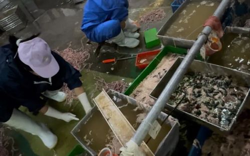 李主任 是誰 李主任 還是 利主任 ,該有個答案