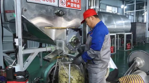 大豆加工緊鑼密鼓 力爭(zhēng)首季 開(kāi)門(mén)紅